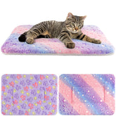Tierecare dual-pattern blanket keeps indoor cats cozy and secure.