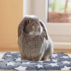 Tierecare sleep mat serves as a cozy multiuse blanket for cages or lap sessions