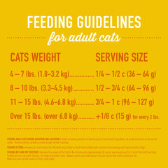Tiki Cat grain-free recipe bowl with flaxseed, pumpkin, and salmon oil.