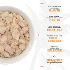 Grain-free, all-life-stages formula shown in a serving photo for cats.