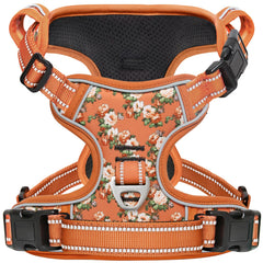 Timos flower orange dog harness front view for daily walks
