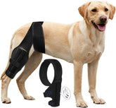 Tinzum L dog ACL knee brace on hind leg during walk provides daily support.