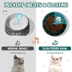 Tioncy dark green ceramic elevated bowl for cats and small dogs