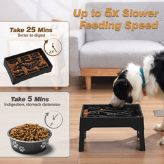 Tivray four height adjustable legs demonstrated for growing dogs