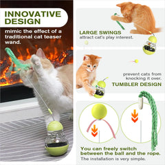 TLKNG Cat Toy track ball in motion for multi-directional chasing.
