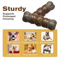 TLKNG durable squeak bone teething toy aids oral cleaning during chewing sessions