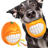 TLKNG large orange squeaky dog toy, front view, engaging fetch and play