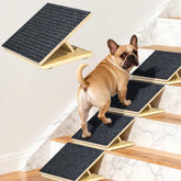 TNELTUEB dog ramp with adjustable height helping small dogs climb stairs safely