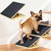 TNELTUEB dog ramp with adjustable height for stairs, safer access for small dogs.