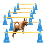 TNZMART dog agility hurdle set blue in action for focused home training