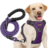 tobedri no pull harness front and back rings for balanced control during walks
