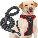tobedri no-pull harness with front and back rings for controlled walks