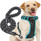 tobeDRI No Pull Harness with front and back rings for balanced leash control during walks