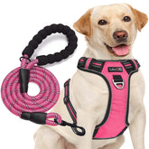 tobeDRI No-Pull Harness with front and back rings for balanced control during walks