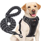 tobeDRI No Pull Harness front clip black for controlled walking and reduced pulling.