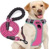 tobeDRI No Pull Harness front ring for training and controlled walks