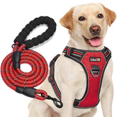 tobeDRI No Pull Harness front view with dual rings for controlled walks.