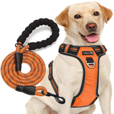 tobedri No Pull Harness on Oxford fabric for safer city walks
