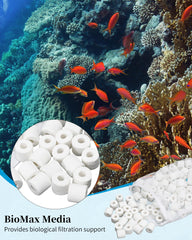 Tofcbye bio-foam blocks support robust biological filtration.