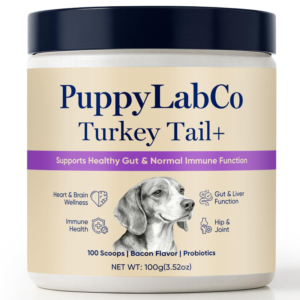 TOGOLIUN PuppyLabCo turkey tail powder in a bowl supports canine digestion