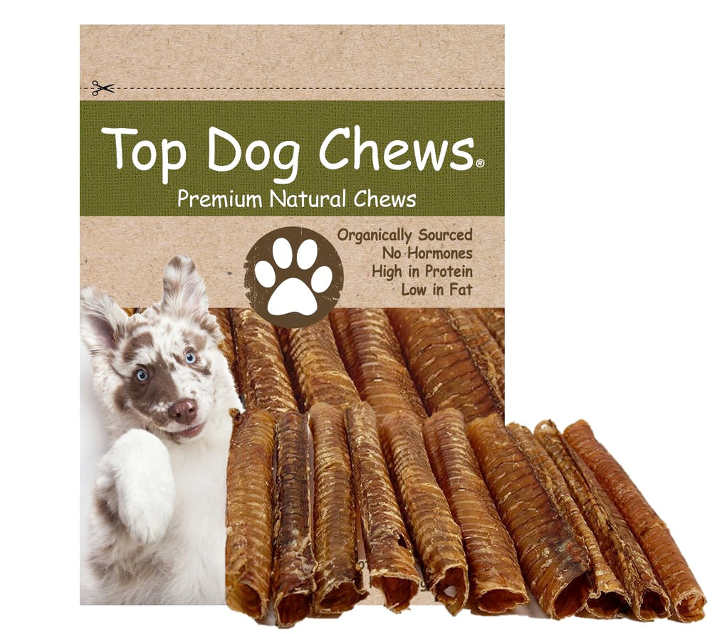 Top Dog Chews 12-inch roasted beef trachea for long lasting dental cleaning and joint support