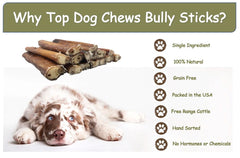 Grass-fed beef bully sticks from free-range cattle provide natural protein.