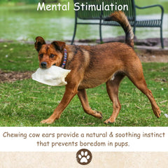 Top Dog Chews natural single ingredient dog chew