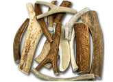Top Dog Chews Premium Large Antler Variety Pack 6–9 inch antlers for durable chewing