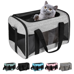 Top Tasta cat carrier under-seat design ideal for cabin travel