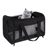 Top Tasta airline-approved cat carrying case under seat for travel