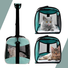 Top tasta collapsible carrier folds flat for convenient storage on trips