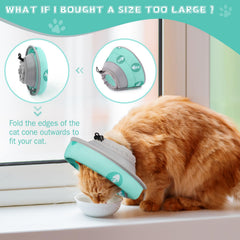 Toptakeit postoperative protection collar suitable for healing and behavior control.