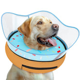 Toptakeit elevated inflatable dog cone donut worn by a calm dog for gentle protection.