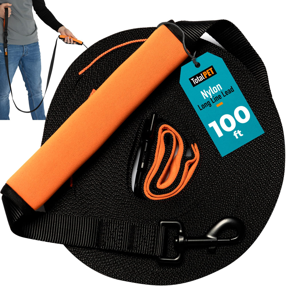 Total Pet 100ft leash extended for open-area recall training and exploration.