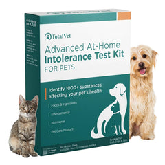 TotalVet dog allergy hair-sample kit for at-home testing.