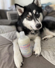 Touch of Mink Minksheen mink oil coat gloss adds natural shine.