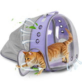 TOYSINTHEBOX expandable cat backpack with bubble window for calm outdoor adventures.