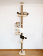 TQEW floor-to-ceiling cat tree assembled in living room for spacious play and climbing.