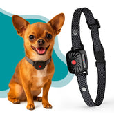 TrainTail bark collar for small dogs with adjustable fit for comfort during walks