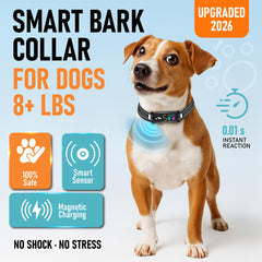TrainTail Beep-Vibration Collar for small dogs delivers gentle correction.