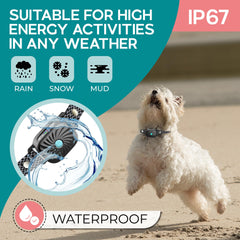 TrainTail safety vibration modes offering humane training options for dogs.
