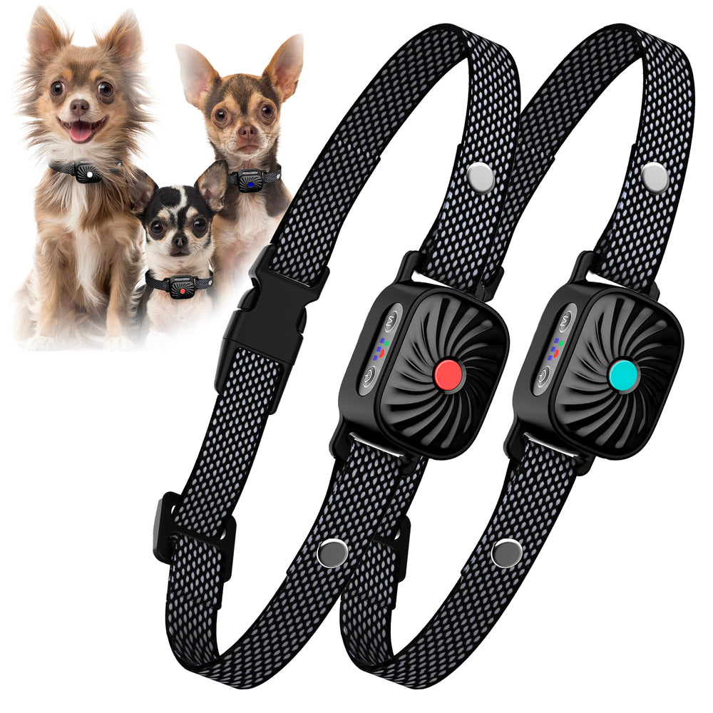 TrainTail small dog bark collar with adjustable strap for a comfortable fit.