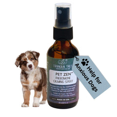 Tranquil Tails Pet Zen spray on bedding supports a calmer dog during bedtime