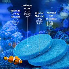 Tranqun pad demonstrates clear water improvement in an aquarium.