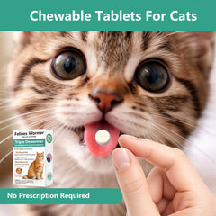 TRAVELMASTER tablets ready to mix with food for convenient dosing.