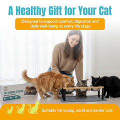 TRECKPET stainless steel bowls provide hygienic, durable cat dish solution.