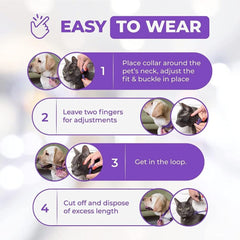 Close-up of Trendy Hub cat calming collar strap detail for comfort