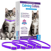 Trendy Hub cat calming collar worn by cat to promote calm at home
