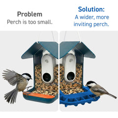 Bird Buddy compatibility closeup shows easy slide-on installation.