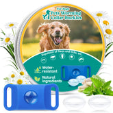 Trihood blue waterproof dog tag attached to a collar during outdoor use.